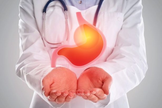 Paulo Augusto Berchielli