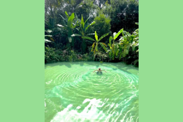 Aroldo Fernandes da Luz