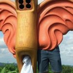 Boleto Gigante: Estudante de Rondônia Recebe Presente Inusitado da Noiva 3