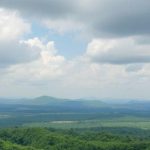 Governo de Rondônia apresenta modelo de exploração florestal sustentável na COP-30 3