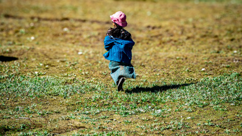 Trajetória pessoal: da infância à sabedoria agronômica moldada pela experiência 2 Da infância à atuação no campo, a experiência consolidou a sabedoria agronômica de Alfredo Moreira Filho.