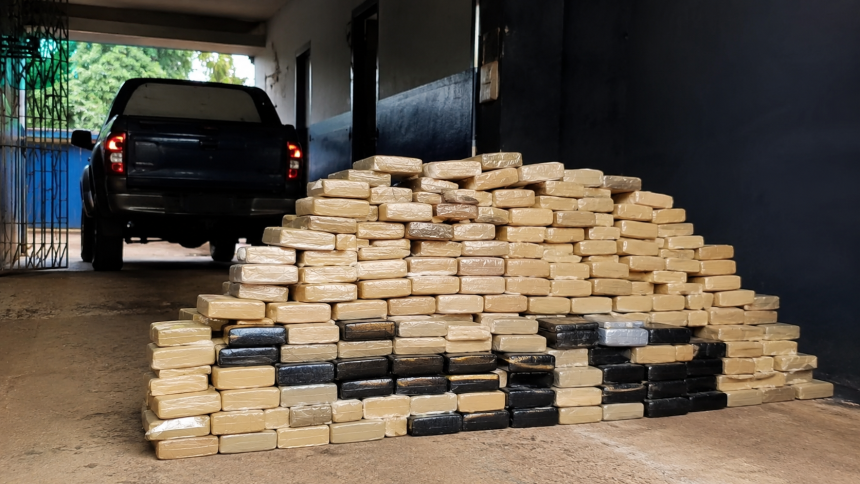 Força Tática apreende 345 tabletes de maconha em residência de Porto Velho 1