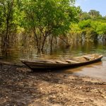 Canoa de madeira junto às margens verdes de um rio na floresta amazônica.