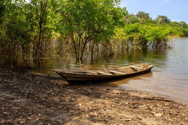Canoa de madeira junto às margens verdes de um rio na floresta amazônica.