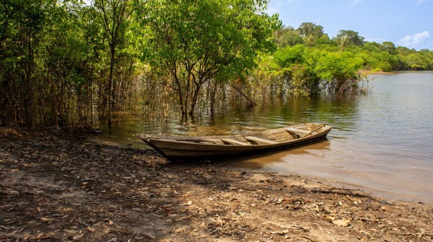 Porto Velho leva patrimônio e experiências de Rondônia à Expoturismo 2026 1 Canoa de madeira junto às margens verdes de um rio na floresta amazônica.