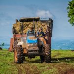 Dois agricultores conduzem um trator que transporta fardos de feno por uma área rural sob céu azul.