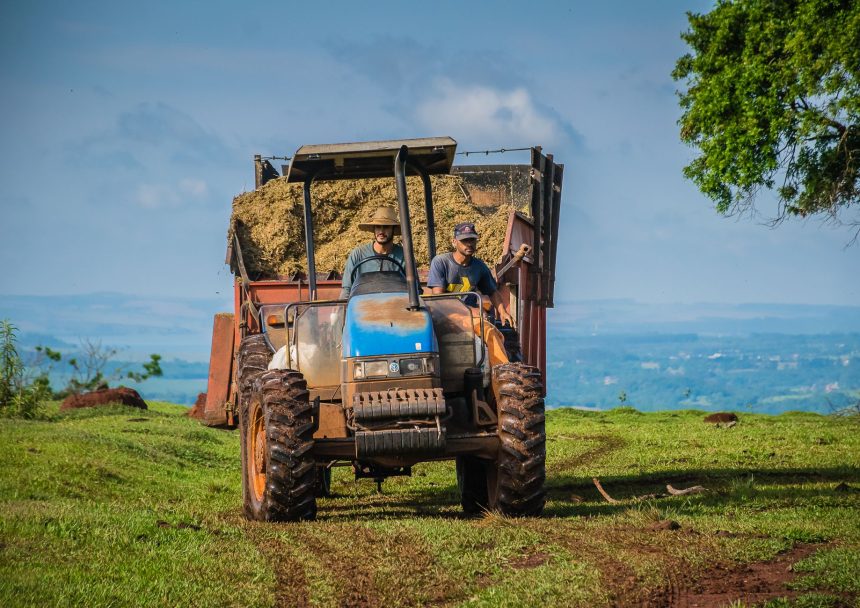 Dois agricultores conduzem um trator que transporta fardos de feno por uma área rural sob céu azul.